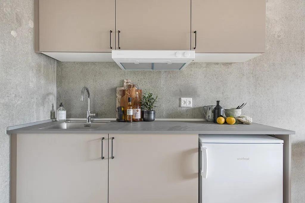 Tastefull And Modern Studio Apartment Kopenhagen